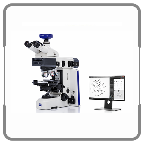 Cytogenetics